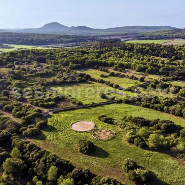 Gran finca rústica en Menorca – Alaior!!!
