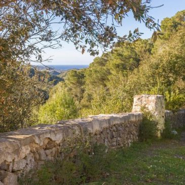 Finca rústica en Es Mercadal Menorca!!