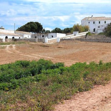 Predio menorquín en venta en Ciutadella