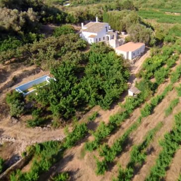 ¡Finca rústica en Menorca a precio irrepetible!