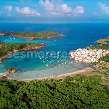 Campo y mar todo en uno