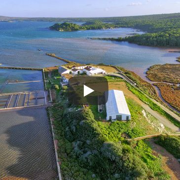 Simbiosis perfecta entre mar y campo en Menorca