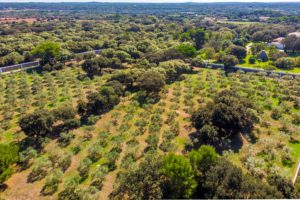 terreno finca rustica Menorca