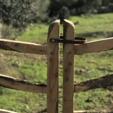Consecuencias inesperadas en Menorca por el Coronavirus