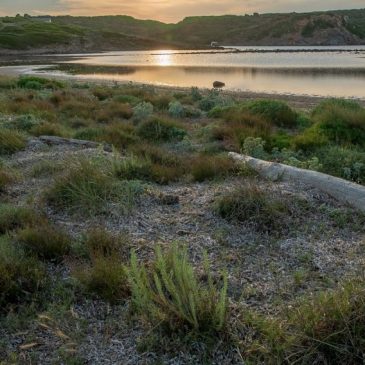 Menorca: una isla de playas desiertas