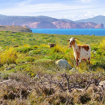 Menorca en Semana Santa