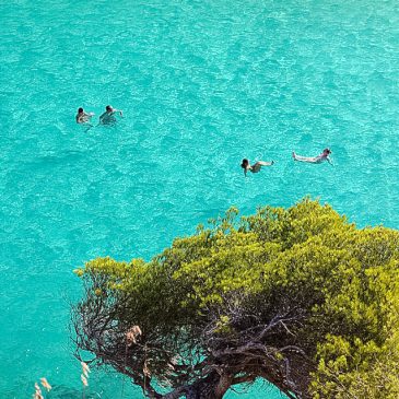 Trabajos Más Demandados en Menorca: Eleva tu Carrera y tu Estilo de Vida