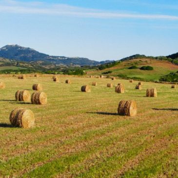 Menorca fuera de temporada: cuando la isla revela su verdadero valor