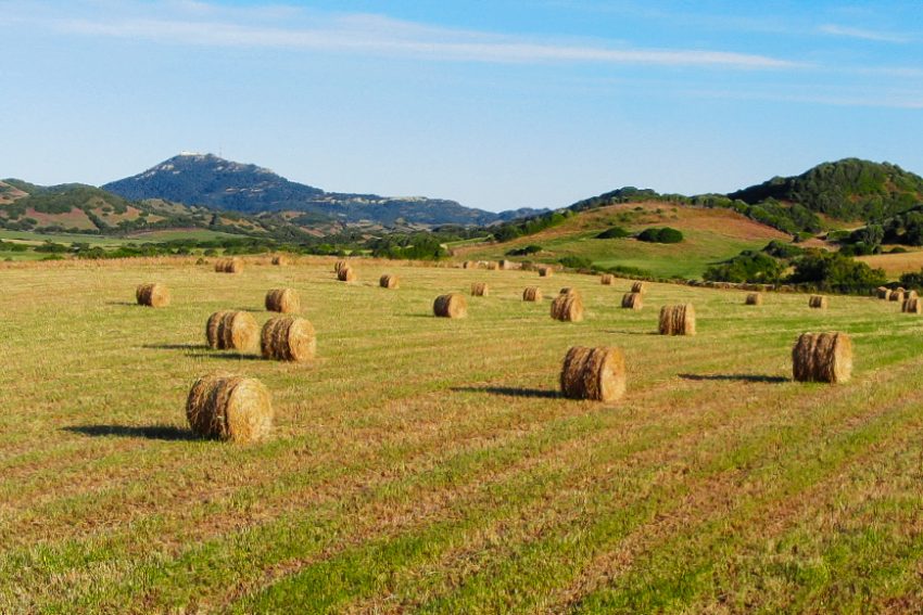 Menorca fuera de temporada: cuando la isla revela su verdadero valor