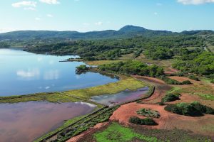 Ses salines de fornells