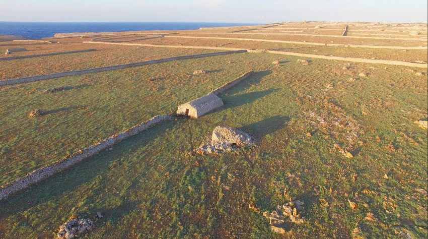 Paysage rural de Minorque avec murs en pierre sèche et bâtiments agricoles près de la mer