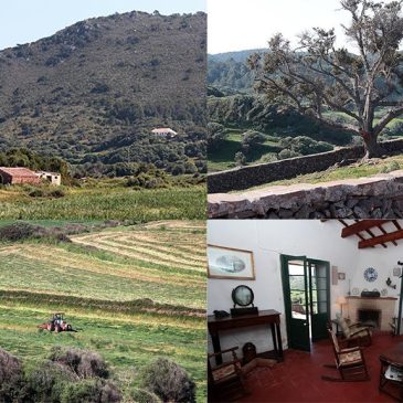 Large country properties in Menorca