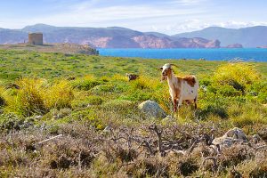 Easter in Menorca