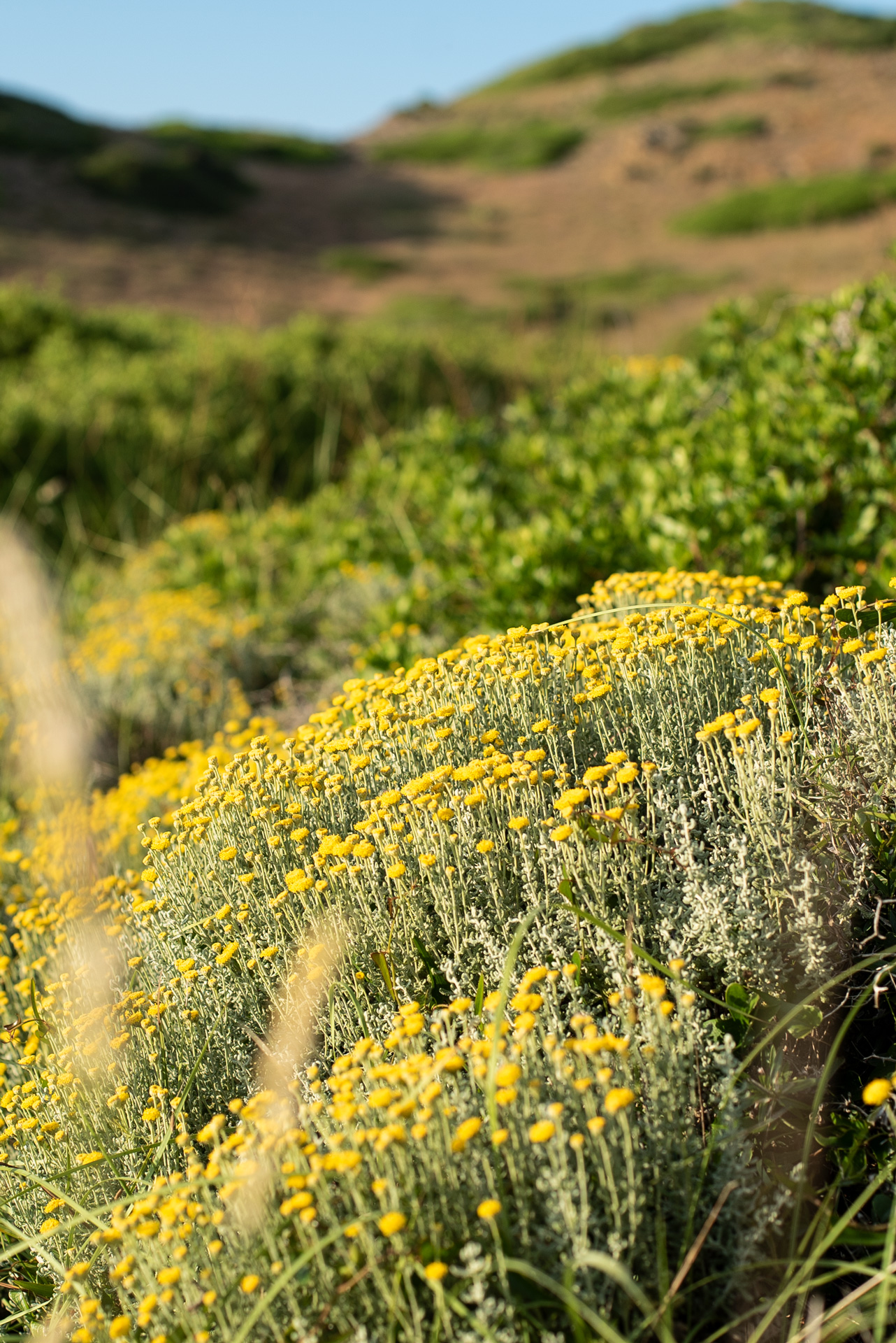 Spring in Menorca: the island at its most intimate moment