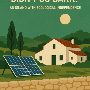 Why didn’t Menorca go dark? An island with ecological independence