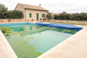 Swimming Pools: Not Just Cover and Forget