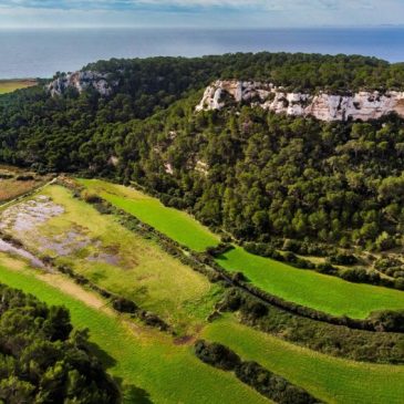 Minorque Réserve du Jardin Bio