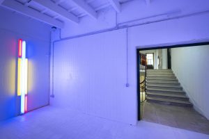 Galerie Cayon Minorque Dan Falvin